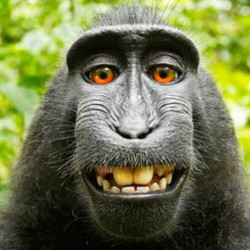 Benutzeravatar